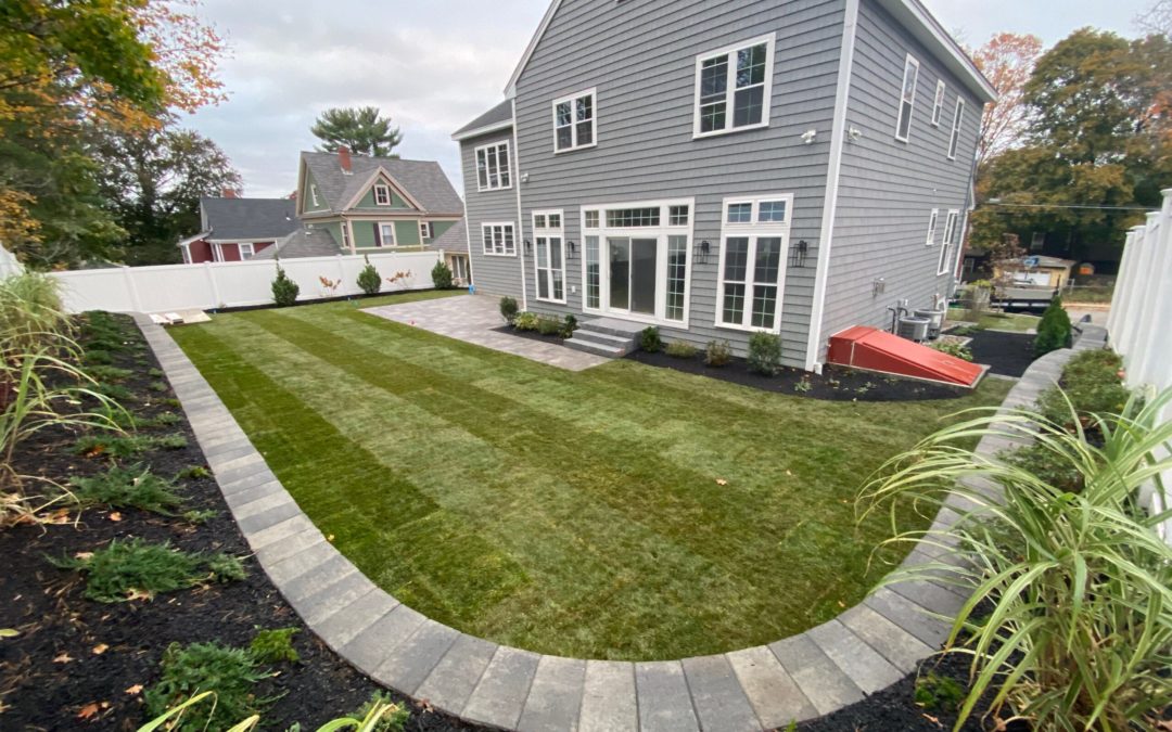 5 Ways to Maintain Your Lawn to Prepare for Spring